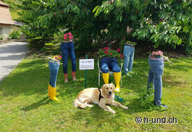 Countrywomen Vinelz decorate the village.