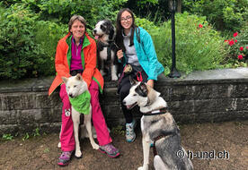 Die ganze Truppe komplett.