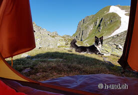 Mia si gode le ore del mattino prima di ripartire.