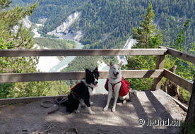 Aussicht in die Rheinschlucht