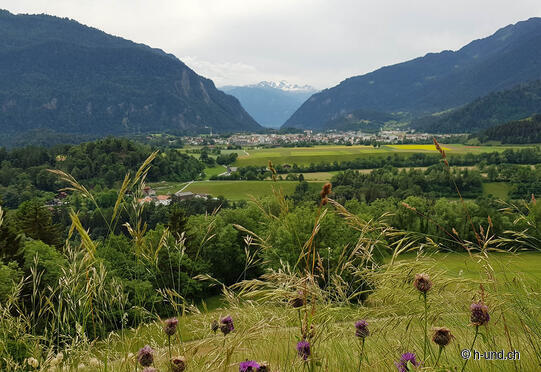 Felsberg-Conn (Flims)