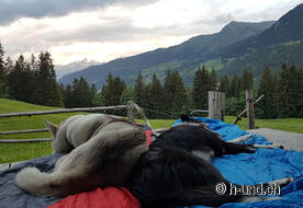 Die Aussicht vom Schlafplatz aus.