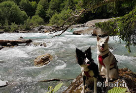 Shooting beim Vorderrhein