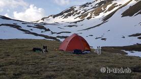 Gypsie et Mia devant le camping
