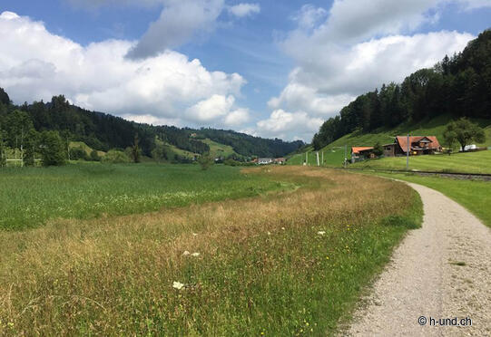 Fischingen-Rapperswil