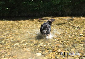 Cooling down is always good