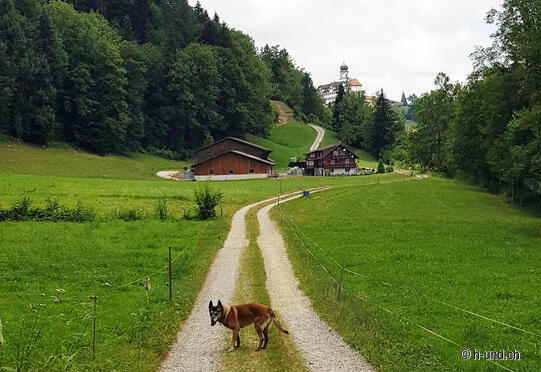 Lucerna-Werthenstein