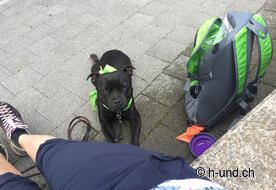 Lilly che si prende una meritata pausa