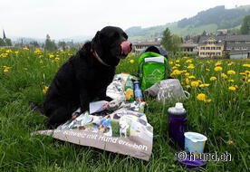 Vishi at the picnic with the great sponsored stuff.
