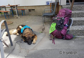 Une pause agréable pour se ressourcer.