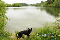 Rorschach-Einsiedeln