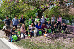 Chemin de Saint-Jacques Suisse