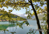 Jakobsweg mit Hund im Berner Oberland