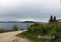 Jakbosweg mit Hund, Drei Seen Wanderung