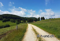 Basler Jakobsweg mit Hund