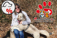 Hundesachen.ch