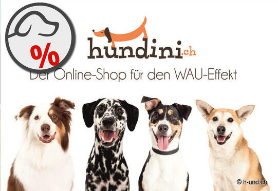 hundini.ch