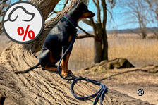 NeverWalkAlone (paracord-leinen.ch)