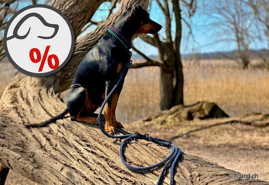 NeverWalkAlone (paracord-leinen.ch)