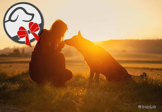 Sarah Bellwald - Hundefotografie