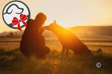 Sarah Bellwald - Fotografia di cani