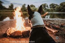 Nomady Camps mit Hunden