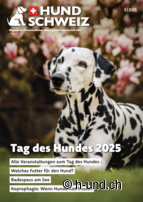 Schweiz mit Hund erleben