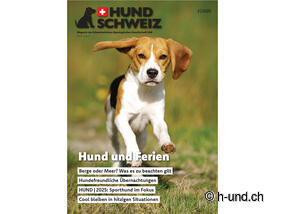 Schweiz mit Hund erleben