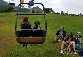 Cours de télésiège avec chien