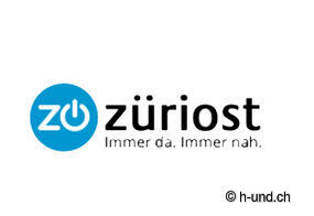 Découvrir la Suisse avec son chien