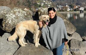 Vacances avec un chien