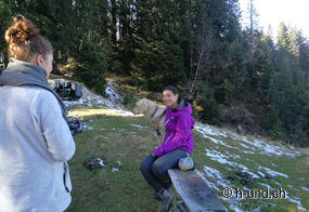 Découvrir la Suisse avec son chien