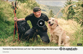 Schweiz mit Hund erleben