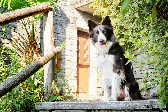 Vacanze a lungo termine in Ticino