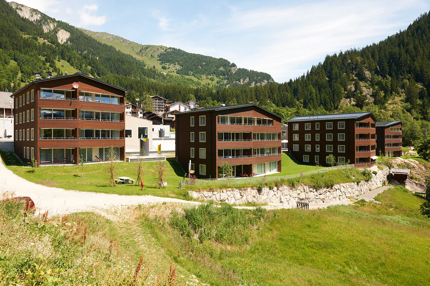 Single urlaub mit hund Single urlaub mit hund
