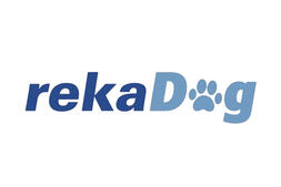 Vacances à la Reka avec un chien : découvrez la Suisse