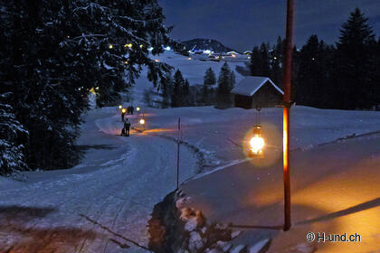 Top - Randonnées aux lanternes avec un chien en hiver.