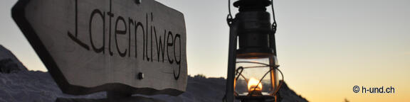 Randonnées avec un chien en winter