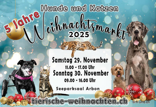 Hunde- und Katzenweihnachtsmarkt in Arbon, 5-Jahr Jubiläum