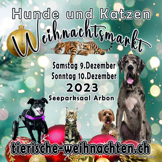 Hunde-und Katzenweihnachtsmarkt im Seeparksaal Arbon