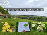 Wildkräuterwanderung mit Kräuterkunde