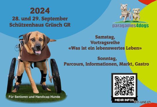 Paragames4dogs 2024