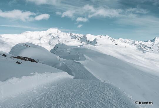 Geführte Hundeschneeschuhtour mit Schneekunde - für Fortgeschrittene
