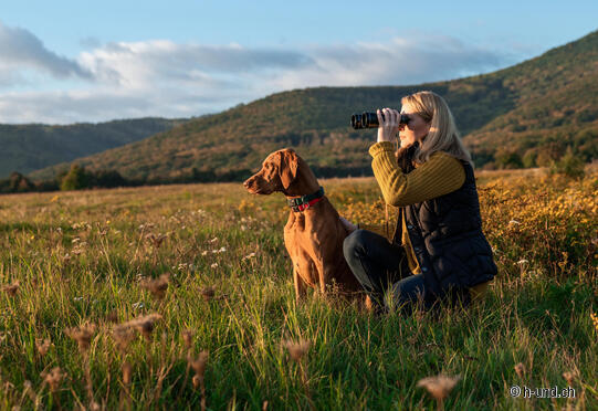 Waldrundgang Wild, Wald und Jagd