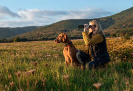 Dog and Hunting Switzerland