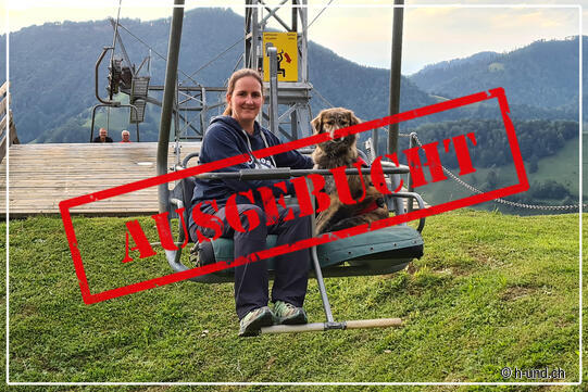 Kurs: Sessellift fahren mit Hund - Entspannt in die Berge - auf dem Sesselilift