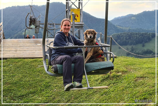 Kurs: Sessellift fahren mit Hund - Entspannt in die Berge - auf dem Sesselilift