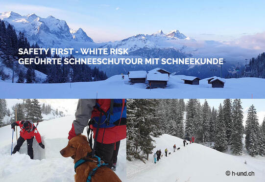 Geführte Hundeschneeschuhtour mit Schneekunde
