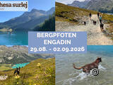 Bergpfoten Engadin