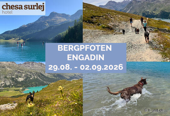 Bergpfoten Engadin